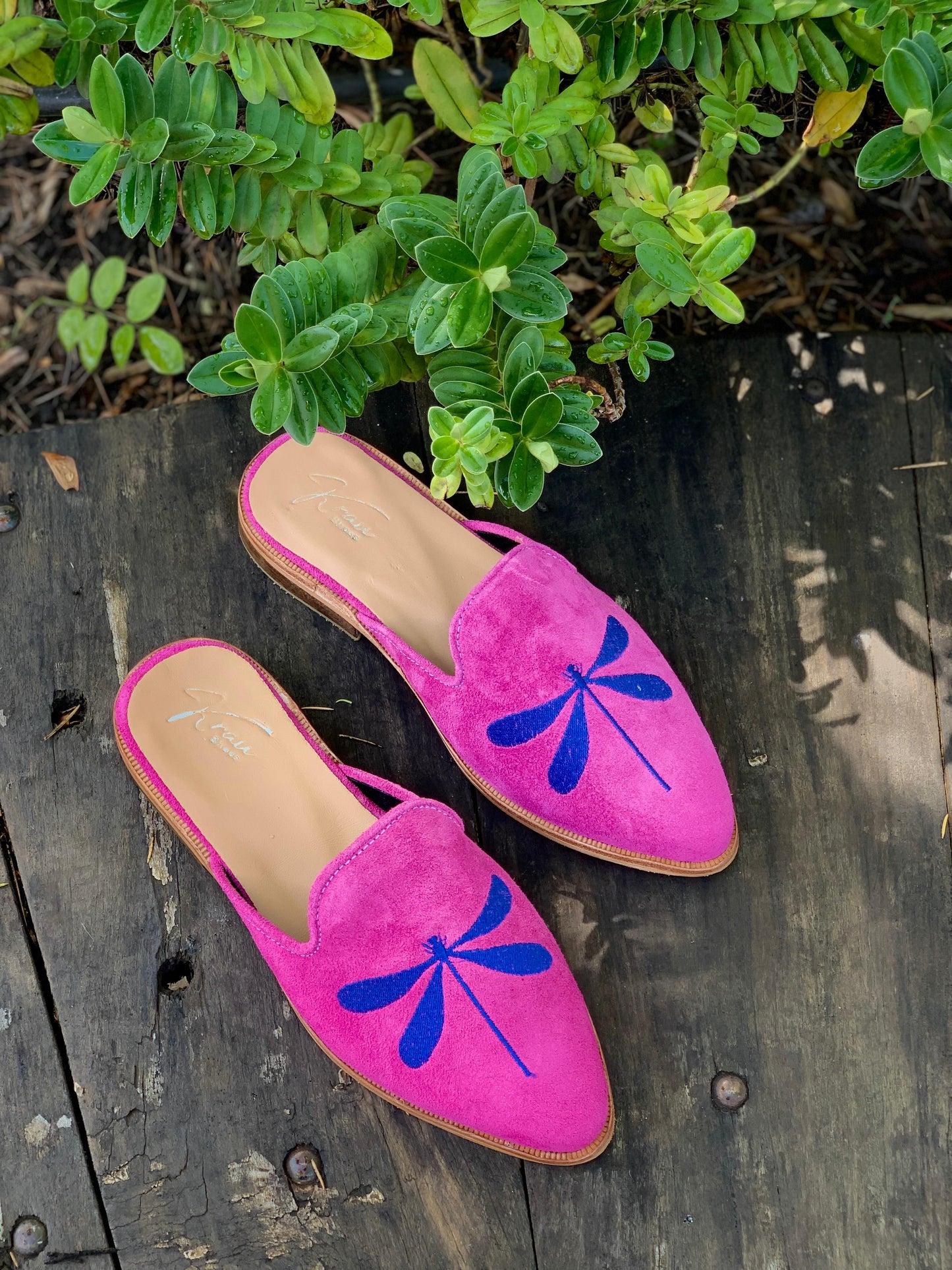 Puntilla libélula Buenos Aires cuero reno fucsia