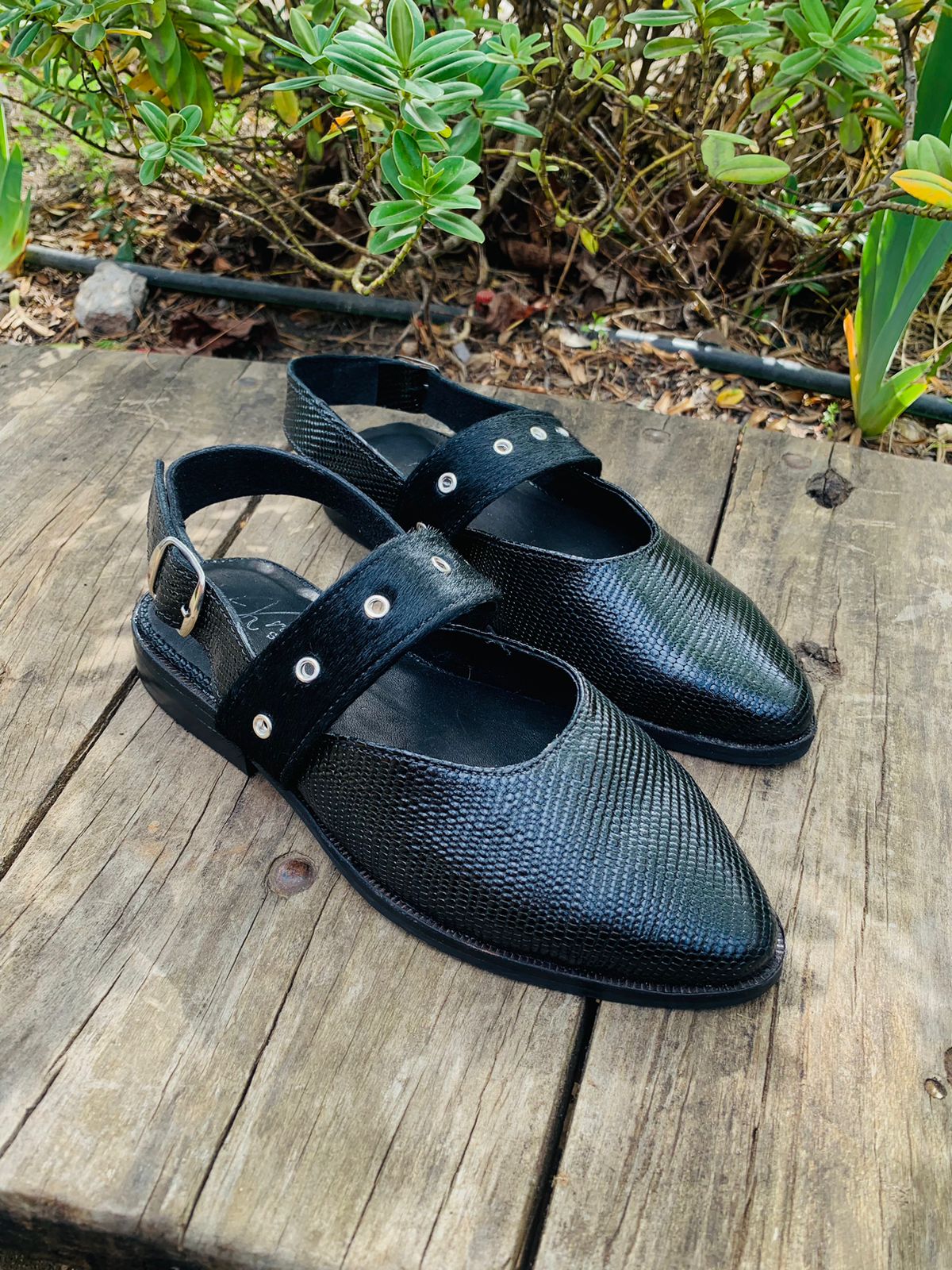 Puntilla Olivia hebilla cuero negro serp c/ pelo y hebilla en talón