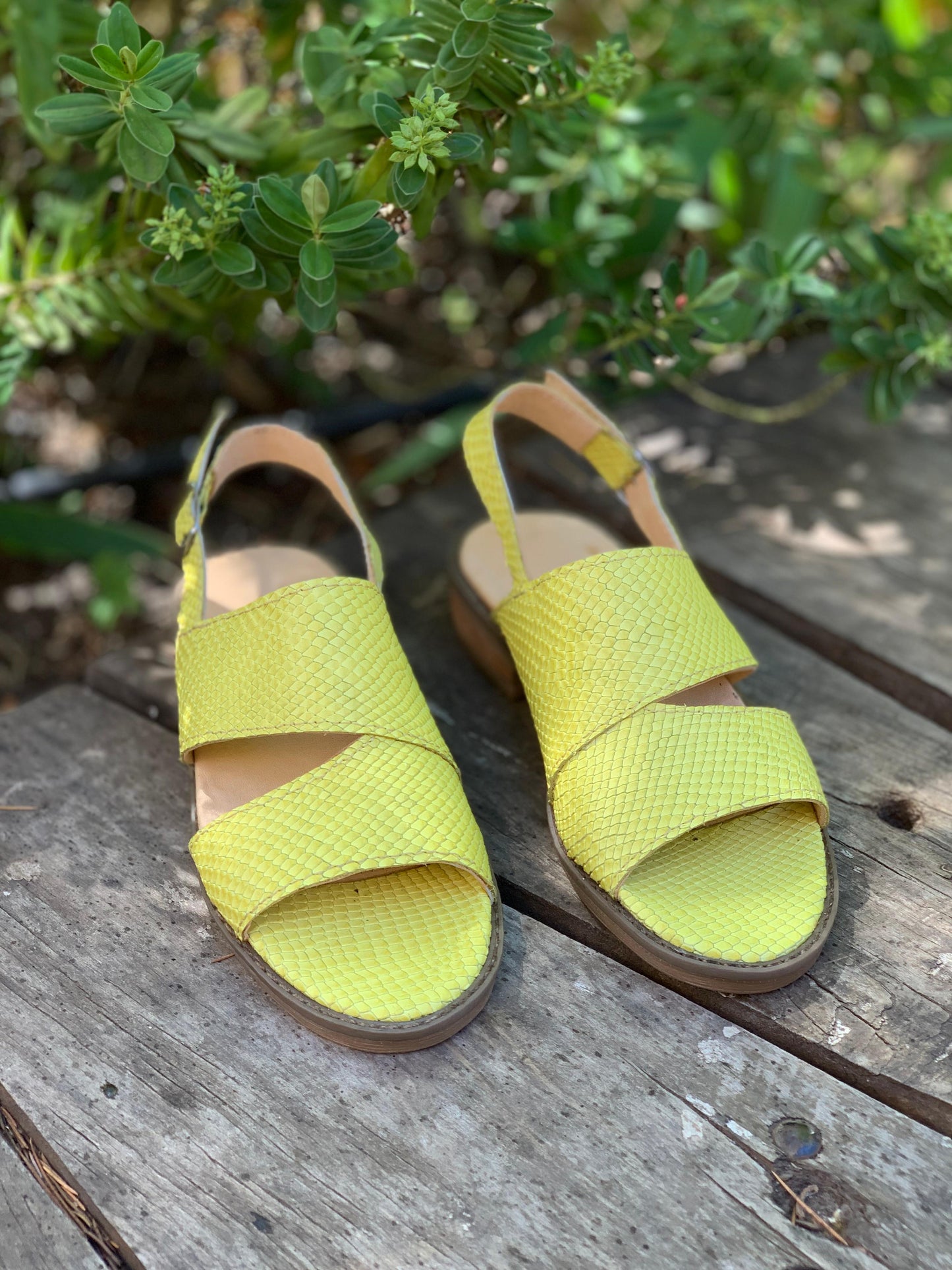 Sandalia Bariloche baja cuero amarillo serp